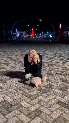 I didn’t mean for it to be… but now all I can see is some kind of interpretive dance about how my dogs have pulled me out of some dark times and taken me to my happy place. Now it makes me a bit teary every time I watch it. 🫣😭🤍 #dogtricks #dogtrainer #dogtraining #bgt #thetrickstars #trickdog #maltese #pomeranian #maltipom #maltipomsofinstagram #dogdance #dancingdog #artinmotion #viralreels #emotional #fuelledbynaturalinstinct #heelworktomusic #caninefreestyle #bond | Lucy Heath and The Trick