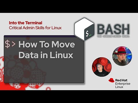 Network data transfer basics, including rsync | Into the Terminal 161