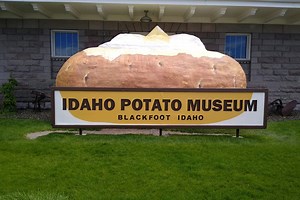 Eight of America’s weirdest museums revealed, from video games to potatoes