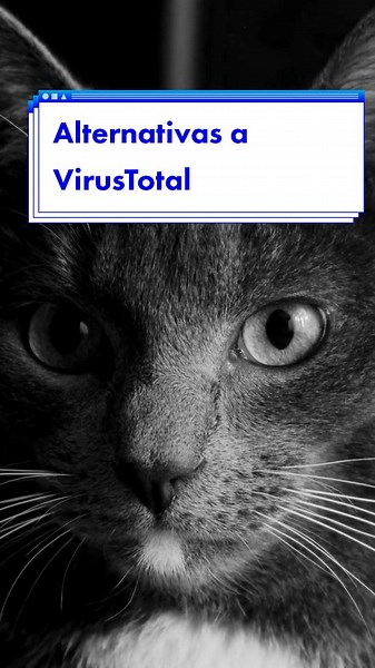 Alternativas a VirusTotal - Descubre las mejores opciones para detectar malware