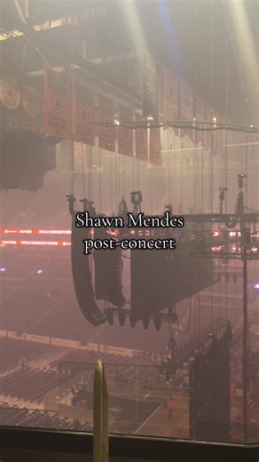 Shawn Mendes Concert Experience in Boston