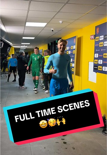 Celebrating Ireland's Victory in the Nations League