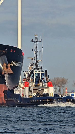 A 250m crude oil tanker being maneuvered into berth — slow power, precision, and full trust between tug and pilot. Real operation. No CGI. No simulations. ⚓ Follow ShipChannel for real port work and POV at sea level. #ShipChannel #PortOperations #CrudeOilTanker #Tugboat #HarborWork #IndustrialPOV #Tankers #MarineTraffic #MaritimeEngineering #RealPortWork #USAPorts #GlobalTrade #Seamanship | ShipChannel