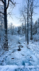 Alaskan hikes aren’t ordinary trails, they’re adventures through magical forests that transform into sprawling alpine tundra. Think panoramic views, fresh air, and trails perfect for any skill level. But don’t worry, you can hike in Alaska year-round! Either way it is a must-do for any nature lover visiting Anchorage🗻 #traveladvisor #travelplanning #travelbucketlist #traveltips #luxurytraveladvisor #adventuretravel | Two Sisters Travel