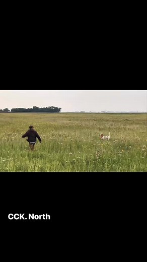 Randy Anderson on Reels