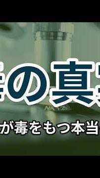 ドクタケが毒をためる菌学的な理由
