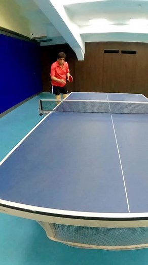 Professional Ping Pong: Skills, Tips and Tricks