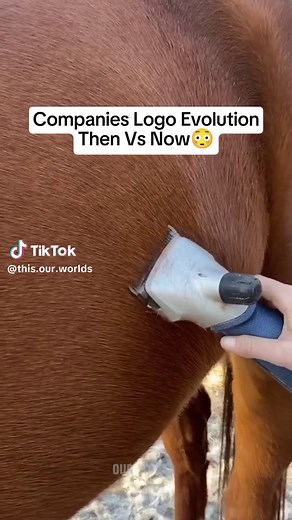 Logo Evolution of Companies: Then vs Now