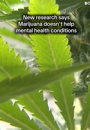 CBS LA (@cbsla)’s videos with original sound - CBS LA