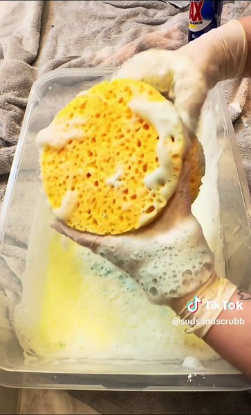Wanted to break in this sponge soo bad, went for a lemon/pine combo 💛🧽 400 followers already is CRAZY, thank you guys so glad yall are here!!🤩also first time using soft scrub, the suds went crazyyy. Thank you to @CleaninwithAsh for the recommendation on squeezing over a bucket, the save was SO much easier 😭🫶🏼 #spongesqueezes #CleanTok #fyp #spongesqueezingasmr #ajax #spongeasmr #foryou #sponge #CleanTok