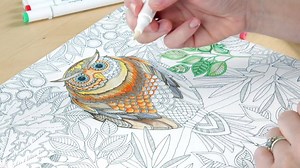 29K views · 1.1K reactions | A colouring canvas tutorial! Grab your solvent markers and get ready to make a masterpiece! I've used #Coloring pens in this video which are made by the same people that make the canvases for me. You could also use any other solvent marker like Sharpies, Copics or Chameleons. More info here: https://www.johannabasford.com/product/colouring-canvases/ | Johanna Basford | Facebook