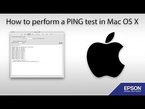 How to perform a PING test in Mac OS X