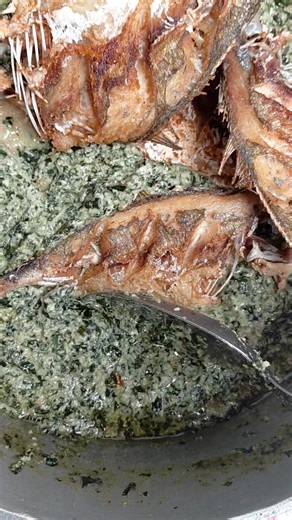 Good day my food lovers.Have you ever tried ndolle and rice so good ..see how ndolle clean nor and I use my general spices to fry my fish so sweet .. | Blanche Kitchen