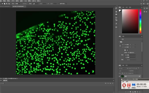 PS裁剪多张图片的相同位置