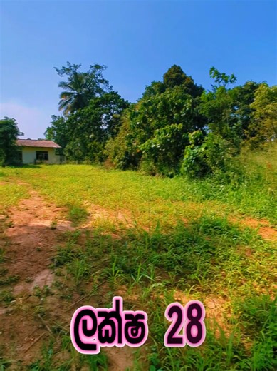 කිරිඳිවැලින් ලක්ෂ 28කට අගනා ඉඩමක්! ​පදිංචියට හෝ ආයෝජනයට කිරිඳිවැල නගරයට ආසන්නයෙන්... ​📍 ස්ථානය: කිරිඳිවැල (කටුනායක පාරට 400m) 📏 ප්‍රමාණය: පර්චස් 19 💰 මුළු මිල: රු. ලක්ෂ 28/= ​සුවිශේෂීතා: ✅ ප්‍රාදේශීය සභා අනුමැතිය සහිතයි. ✅ කොන්ක්‍රීට් මාර්ගයට මුහුණලා ඇත. ✅ නගරයේ සියලු පහසුකම් වලට සමීපයි. ​📞 දැන්ම අමතන්න: 071 9900063 (Reference: EE-KR-L-10981) ​#Kirindiwela #LandSale #RealEstateSL #Investment #Gampaha