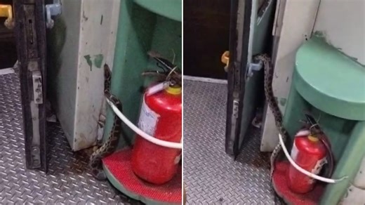 Andaman Express passengers panic as python slithers inside coach. Terrifying video