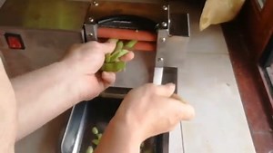 Watch Commercial Electric Pea Sheller Bean Sheller on Amazon Live