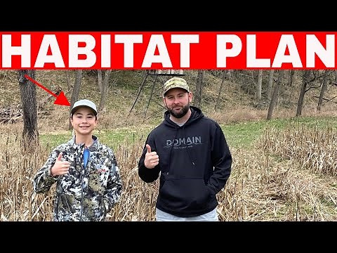 40 Acre Deer Hunting Property Tour & Habitat Plan!