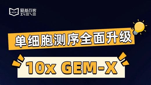 爱基百客联合10x GEM-X V4带来全面升级