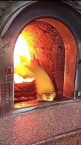 Demonstrating the chimney effect with the paper 😱। #shorts #viralvideo #fact | Fact Hub