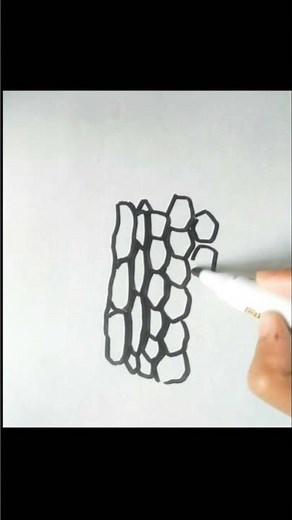 How to draw Collenchyma tissues | How to draw Collenchyma cells #collenchymatissues
