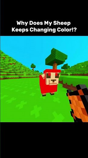 This Sheep Is NOT Normal 😭 | Bloxd.io | #bloxd
