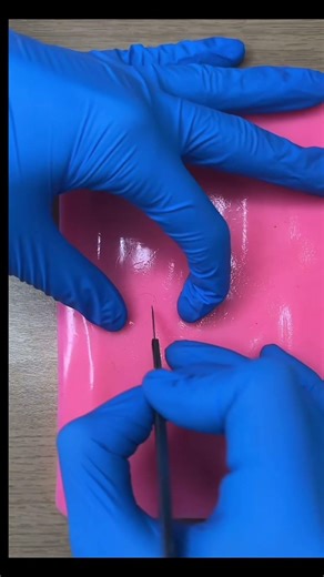 How to use scalpel 👌 #science #anatomy #2nddegreeburn #reel #اكسبلور #burninjury