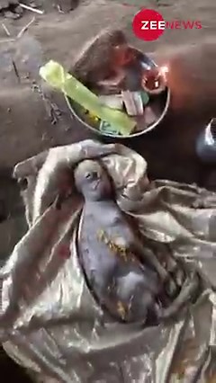 Photos and videos of this eerie-looking, human faced, mutant goat have gone viral on social media. The unique, miracle goat, found in Seltipada village, Gujarat was being worshiped like a god. Except having four legs and goat ears, the rest of the body on this miracle animal looked like a human and did not even have a tail. Sadly, the baby goat died minutes after being born. More on https://bit.ly/2Q8EAV9 #zeenewsenglish #zeenews #viral #goat #mutantgoat #humanlikegoat | Zee News English
