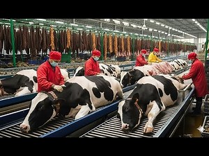 Inside the Cow Leather Factory – From Raw Cowhide to Luxury Million-Dollar Products (Full Process)