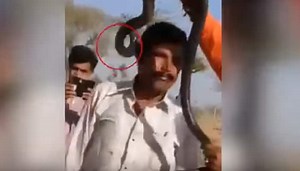Selfie moment goes horribly wrong! Indian man dies after deadly cobra bite: This video has over 1 lakh views -WATCH