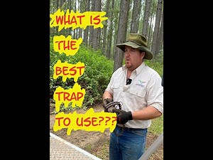 The Ultimate Wild Dog/Predator Trap