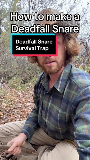 Effective Deadfall Snare Survival Trap Guide