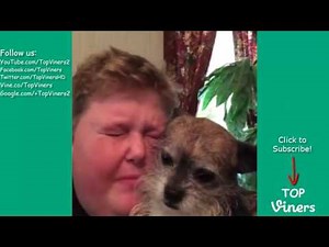 Brandon Bowen Vine Compilation w Titles All Brandon Bowen Vines Top Viners