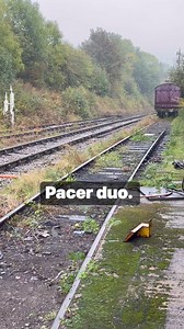 A couple of #class142 Pacer trains, looking superb in their retro liveries! At the Midland Railway Centre. #uktrainspotting #trains #diesellocomotive #britishrailways #railway #railways #trainspotting #railroad #heritagerailway #pacer | Adrian Watson