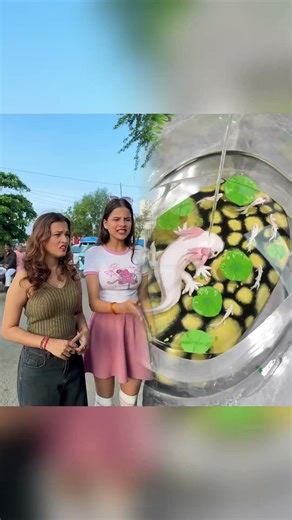 Aap hi batao kiska nuksan hua 🤣😎 #shorts #bobbyprankster