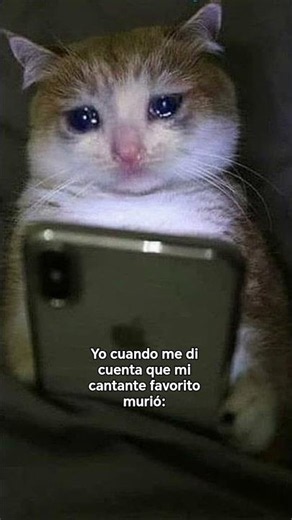#olivertree descansa en paz 🕊️