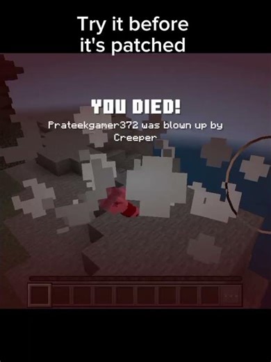 Try it before it's patched #shorts #minecraft #viralvideo #100k