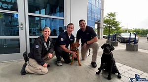 Our new comfort pup, Copper, continued her K-9 training last week! She passed her weekly evaluation with flying colors! She even had a visit with veteran Comfort dog, Elvy and her human, Officer Dustin Coleman from Brown University. Elvy stopped by to offer some barks of wisdom and to offer some four legged support! Stay tuned here for more updates on Copper's progress and she can't wait to get out in the public with our officers and meet members of the community! | Boston Police Department (Off