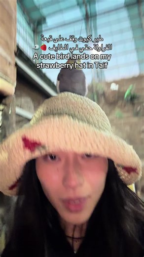 Cute Bird Lands on Strawberry Hat in Taif