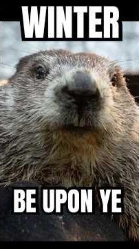 People HATE this Groundhog
