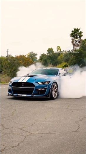 Mustang GT500 Burnout 🔥 The Beast Unleashed | Video by ‪@whip_test‬