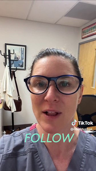 Corneal Ulcer in Cats: Essential Vet Tips