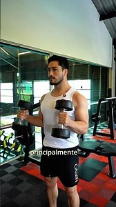 Martillo con mancuerna para bíceps #tutorial #biceps #workout