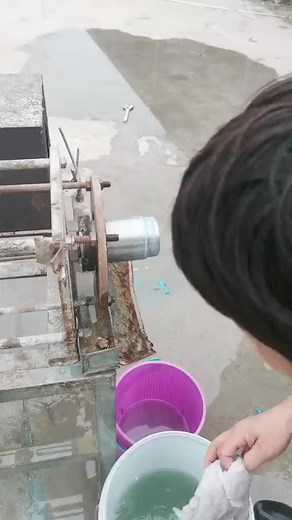 แมวน้ำ trên TikTok