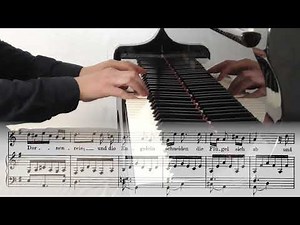 Franz Schubert: Die schöne Müllerin D 795 - 19 - Der Müller und der Bach