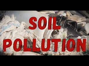 Soil Pollution and Its Effects On Human Health