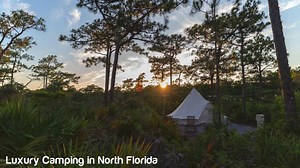 54K views · 341 reactions | Camping with AC? Sign us up! #LoveFL | VISIT FLORIDA | Facebook