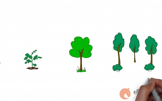 如何1分钟画出树生长的全过程
