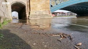 The River Trent was starting to flood the footpaths near Trent Bridge in Nottingham earlier 😬 Read all of today's updates about flooding here: http://bit.ly/3bMzlB1 | BBC Nottingham