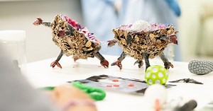 Interactive Science Expo | UNSW Sydney